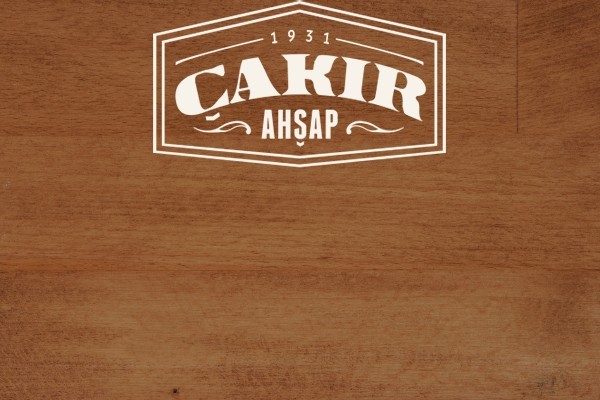 RENKLER VE TEKNİK ÇİZİMLER