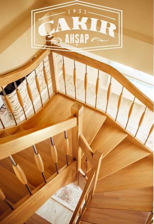 Yandan Çift Omurgalı Merdiven